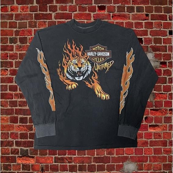 Harley-Davidson ハーレーダビッドソン 長袖 Tシャツ フレイム
