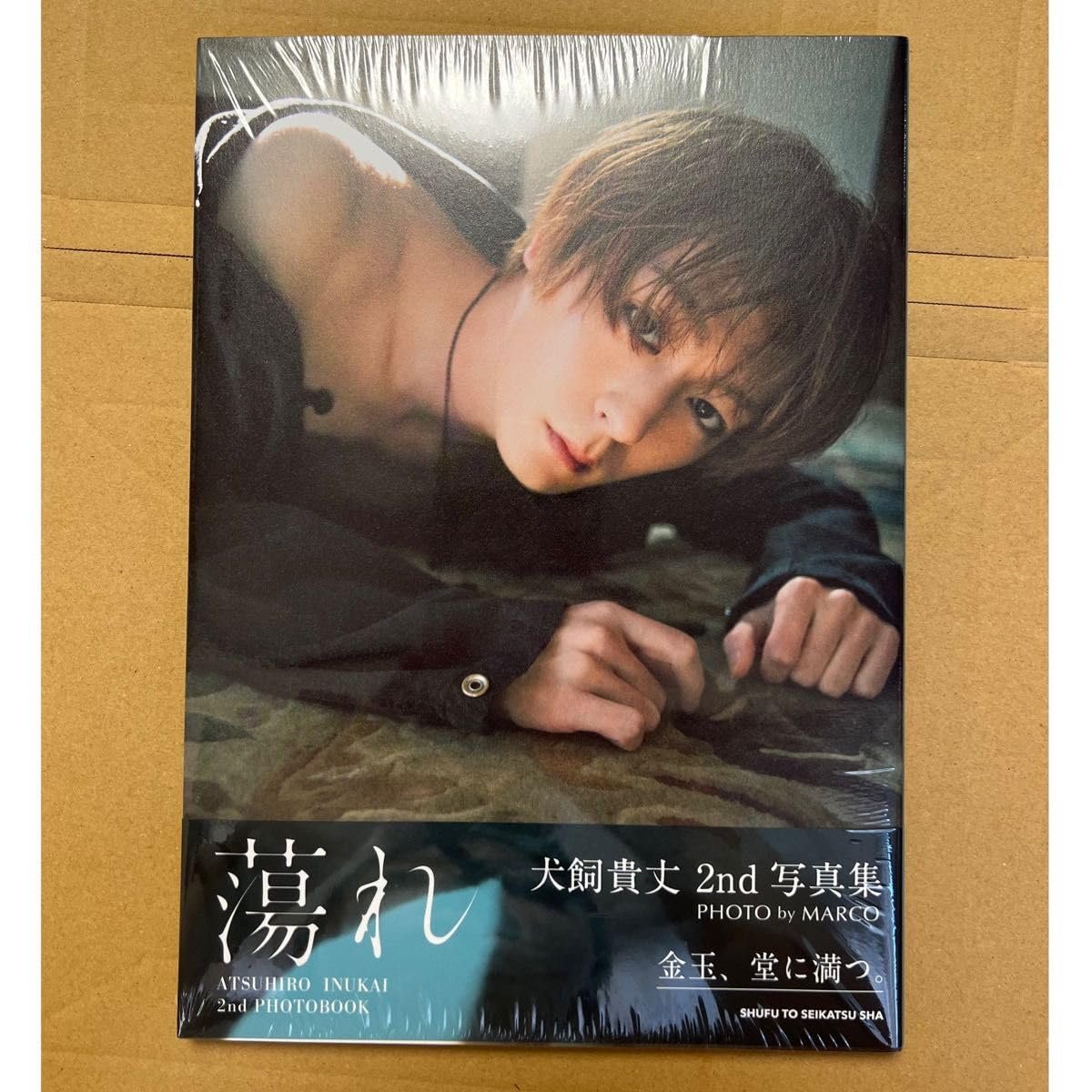 Amazon.co.jp: 犬飼貴丈 2nd 写真集 蕩れ シュリンク : おもちゃ