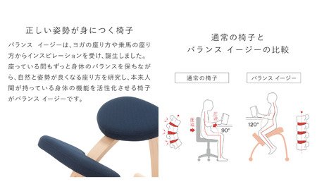 椅子 バランスイージー カバー付き 選べる フレーム カラー 姿勢矯正